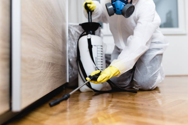 Best Flea Control Services  in St Joseph, MI
