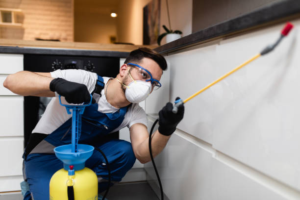 Best Pest Control for Homes  in St Joseph, MI