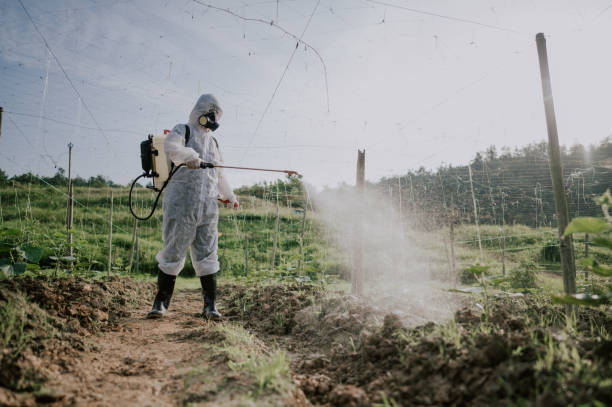 Best Commercial Pest Control Services  in St Joseph, MI