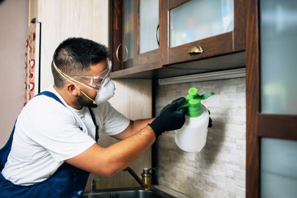 Best Exterminator Services  in St Joseph, MI