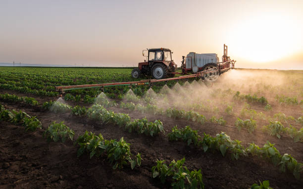 Best Pest Removal Services  in St Joseph, MI