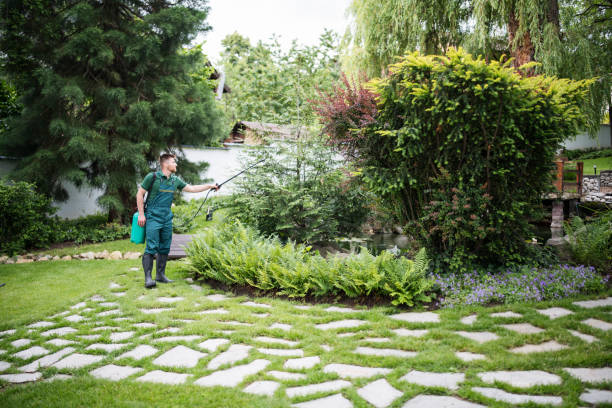Best Best Pest Control Companies  in St Joseph, MI