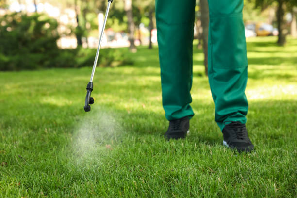 Best Wildlife Control Services  in St Joseph, MI