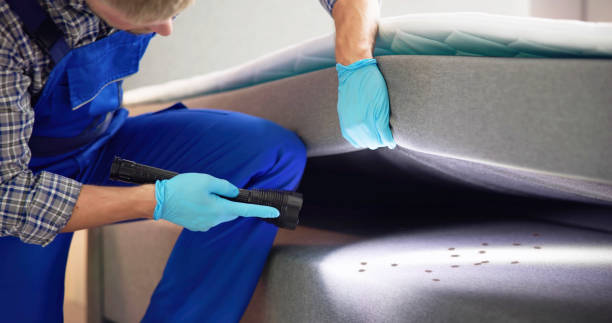 Best Pest Control Near Me in St Joseph, MI