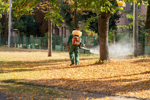 Best Bird Control  in St Joseph, MI