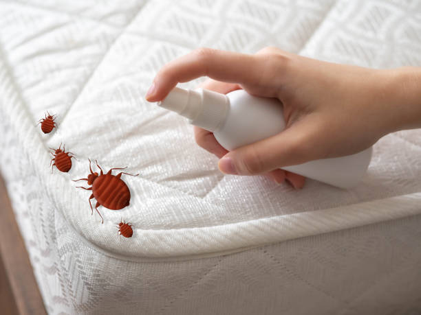 Best Affordable Pest Control Services  in St Joseph, MI