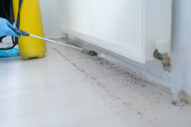 Best Mosquito Control Services  in St Joseph, MI