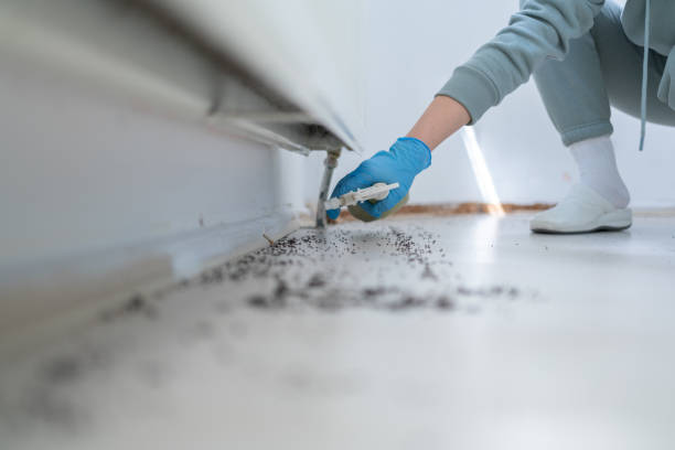 Best Pest Prevention Services  in St Joseph, MI