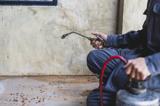 Best Pest Inspection Near Me  in St Joseph, MI